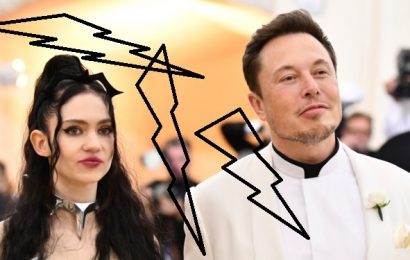 Elon Musk direktor podjetja TESLA samski?