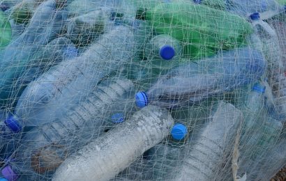 Bo prepoved plastičnih vrečk rešila svet? Bomo prepovedali tudi plastične steklenice?