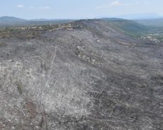 Na Krasu pogorelo 3.500 hektarov zemlje